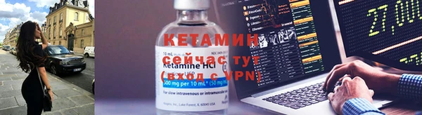 крисы Гусев