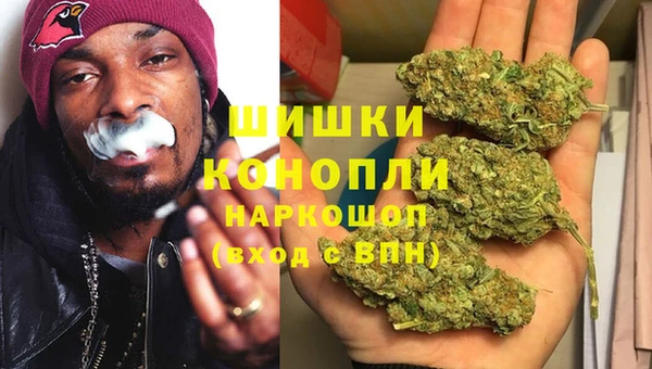 крисы Гусев