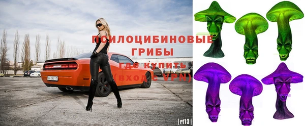 круглые Гусь-Хрустальный