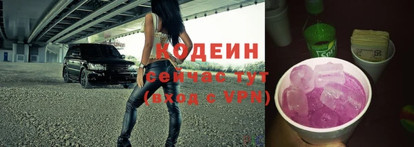 крисы Гусев
