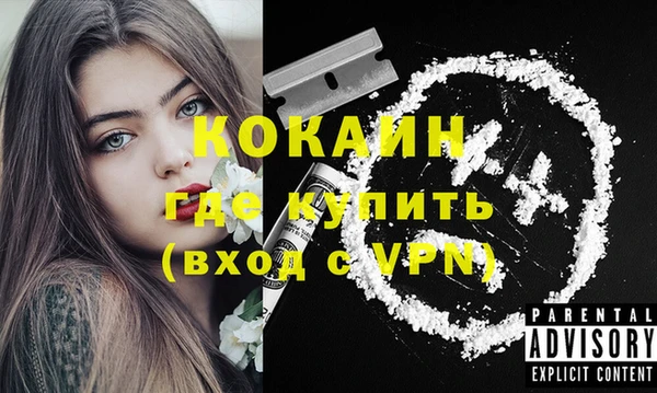 крисы Гусев